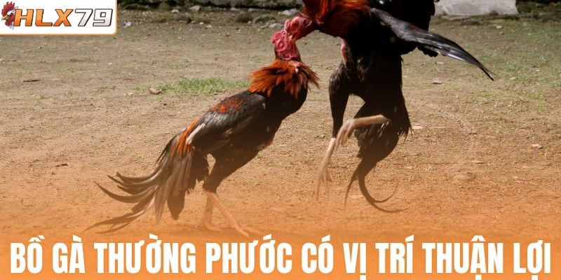 Bồ gà Thường Phước có vị trí thuận lợi