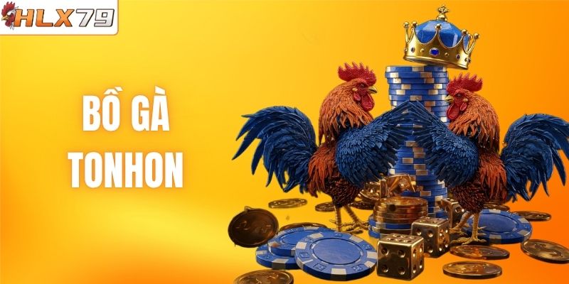 Bồ Gà Tonhon: Sân Chơi Đá Kê Uy Tín, Kịch Tính #1 HLX79
