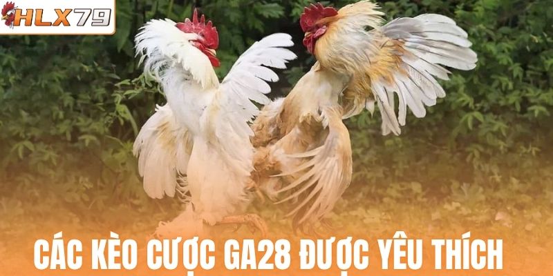 Các kèo cược GA28 được yêu thích  