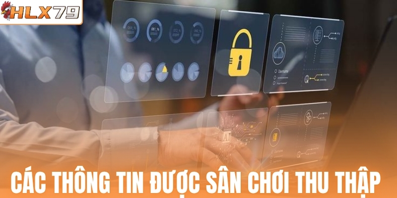 Các thông tin được sân chơi thu thập 
