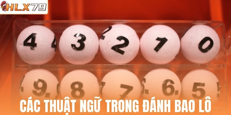 Các thuật ngữ trong đánh bao lô