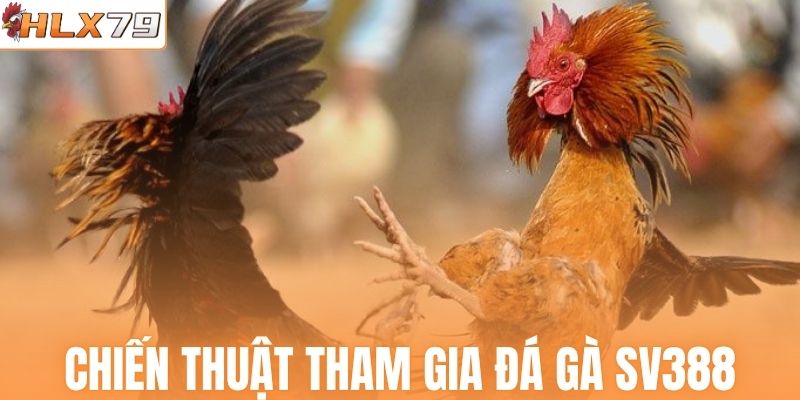Chiến thuật tham gia sảnh đá gà SV388