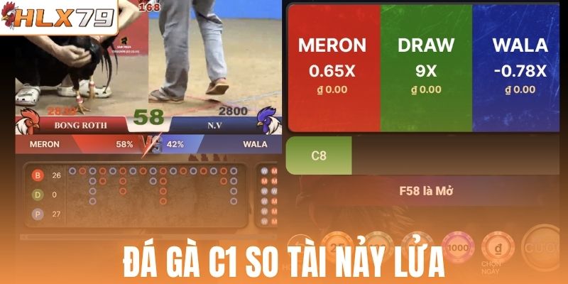 Đá gà C1 so tài nảy lửa 