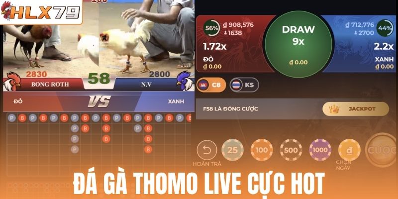Đá gà Thomo live cực hot
