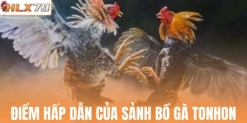 Điểm hấp dẫn của sảnh bồ gà Tonhon