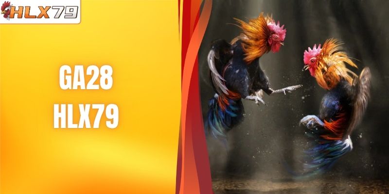 GA28 - Sảnh Chọi Kê Đỉnh Cao, Hấp Dẫn Bậc Nhất HLX79
