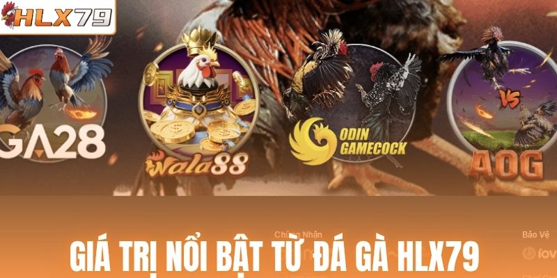 Giá trị nổi bật từ đá gà HLX79 