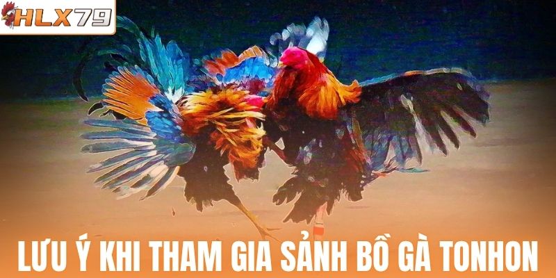 Lưu ý khi tham gia sảnh bồ gà Tonhon