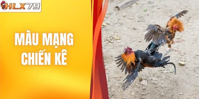 Màu Mạng Chiến Kê | Cách Tận Dụng Dự Đoán Chuẩn Nhất 