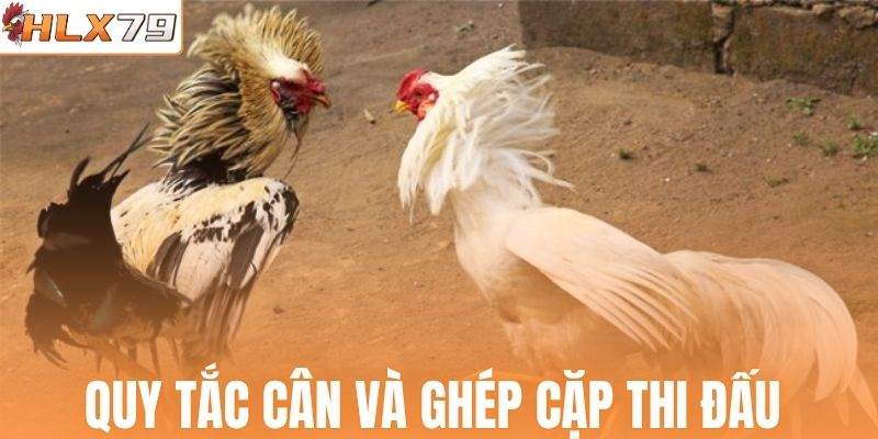Quy tắc cân và ghép cặp thi đấu 