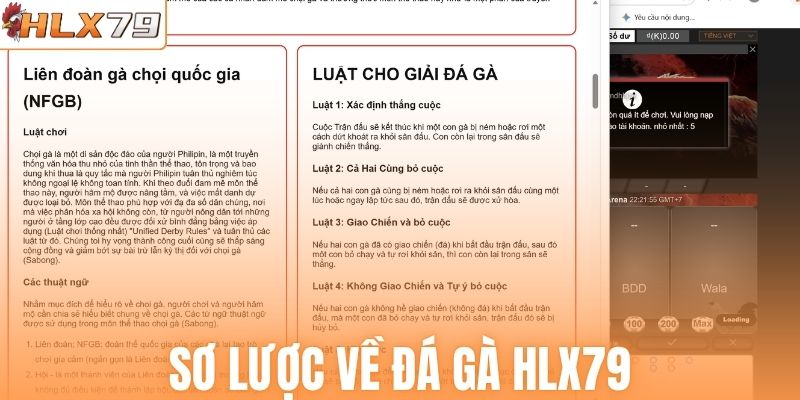 Sơ lược về đá gà HLX79