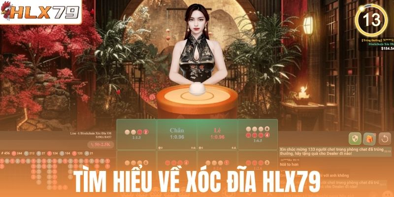 Tìm hiểu về Xóc Đĩa HLX79