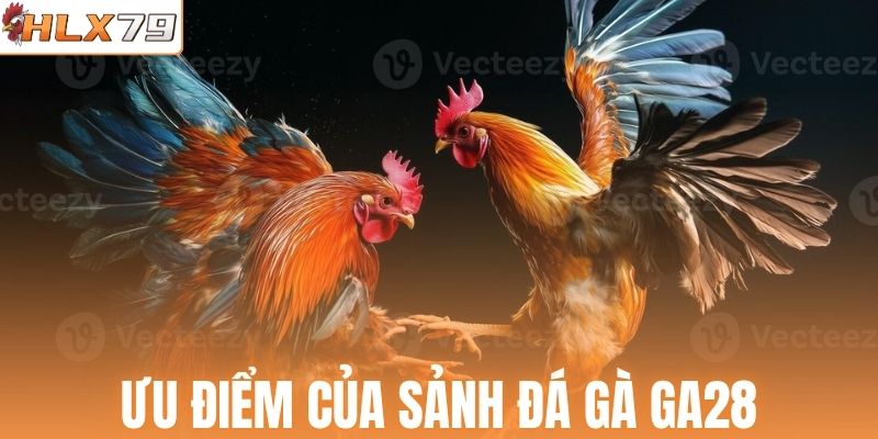 Ưu điểm của sảnh đá gà GA28