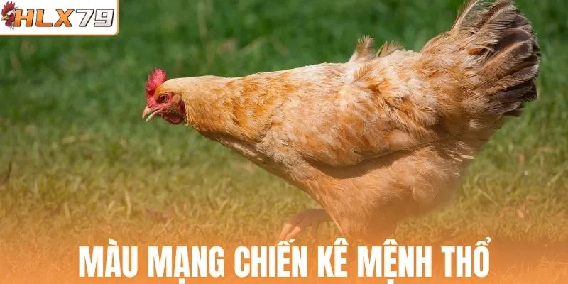 Xem nhanh màu mạng chiến kê mệnh Thổ